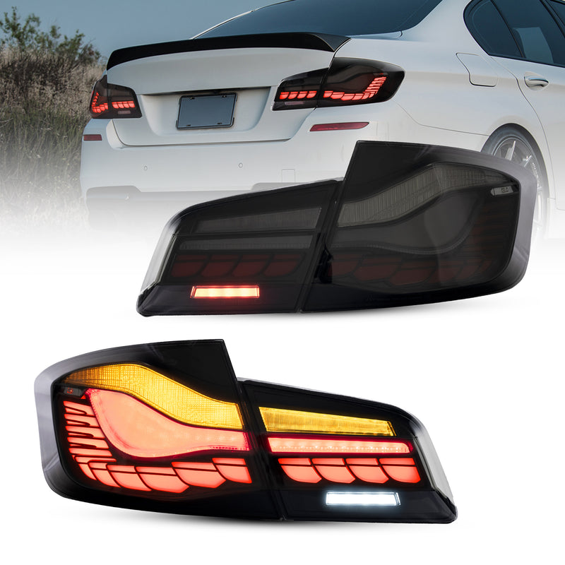 VLAND OLED Taillights Compatible for BMW 5 series F10 F18 M5 2010-2017 VLAND Factory